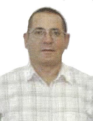 imagem de perfil de José Martins Lopes